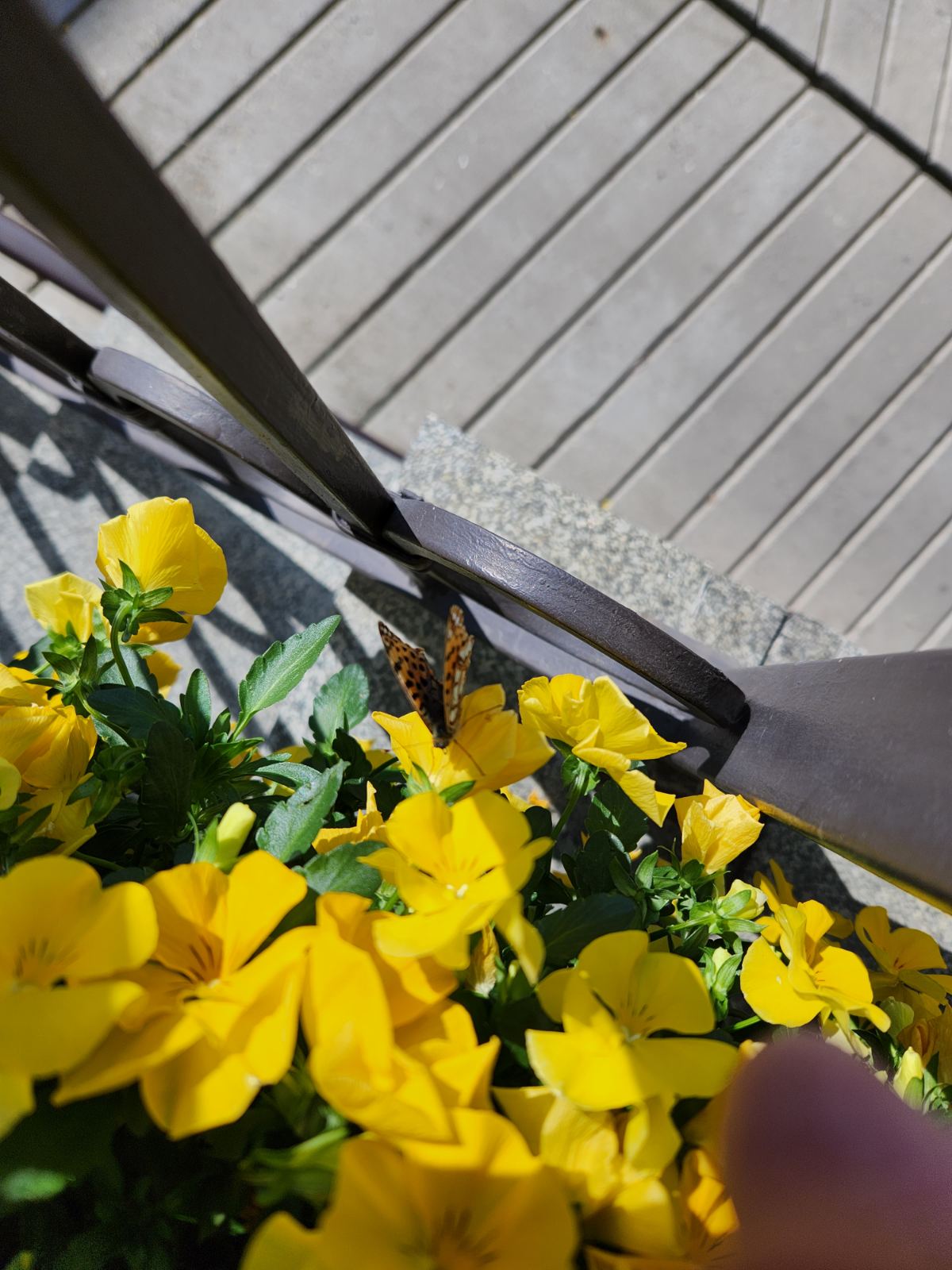 placeholder image-sq